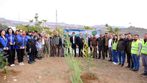 “Geleceğe Nefes Dünyaya Nefes” Sloganıyla Şırnak’ta, 250 Bin Fidan Toprakla Buluşturuluyor
